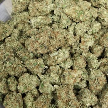 Medical Afghani